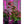 Load image into Gallery viewer, Standard pPod® Year-round Grow Kit