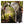Load image into Gallery viewer, Double pPod®