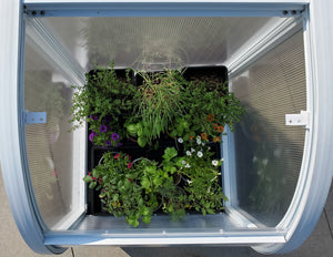 Top view of a pPod containing two 1020 trays of plants